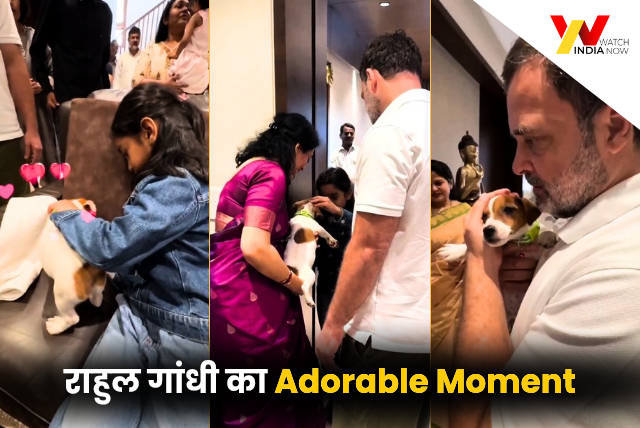 Rahul Gandhi ने खड़गे की पोती को दिया खास तोहफ़ा, सोशल मीडिया पर वीडियो वायरल